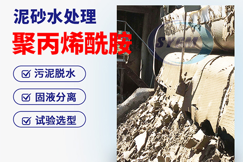 进口阳离子聚丙烯酰胺